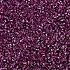 MIYUKI Delica Beads SEED-J020-DB2162-1