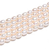 Natural Cultured Freshwater Pearl Beads Strands PEAR-N012-04Y-01-5