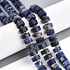 Natural Sodalite Beads Strands G-T140-26-1