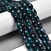 Natural Agate Beads Strands G-B079-E01-01G-1