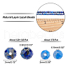 ARRICRAFT 2 Strands 2 Style Natural Lapis Lazuli Beads Strands G-AR0004-45-6