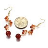 Natural Carnelian Earrings Dangle Earrings EJEW-TA00653-01-4