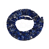 Natural Lapis Lazuli Beads Strands G-N342-70-2