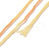 10 Skeins 6-Ply Polyester Embroidery Floss OCOR-K006-A29-3