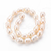 Natural Cultured Freshwater Pearl Beads Strands PEAR-S012-41E-3