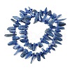 Natural Kyanite Beads Strands G-J403-02-2