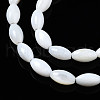 Natural Freshwater Shell Beads Strands SHEL-Q024-021-3