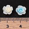 Luminous Resin Decoden Cabochons RESI-K036-39-3