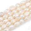 Natural Cultured Freshwater Pearl Beads Strands PEAR-P064-20C-01A-2