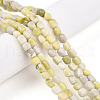 Natural Jade Beads Strands G-N346-04A-13-1