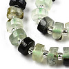 Natural Prehnite Beads Strands G-N327-07H-3