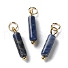 Natural Sodalite Pendants STAS-C120-01G-03-1