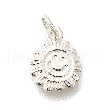 925 Sterling Silver Charms STER-Q003-01A-S-1