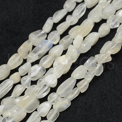 Natural Rainbow Moonstone Beads Strands G-F521-46-1