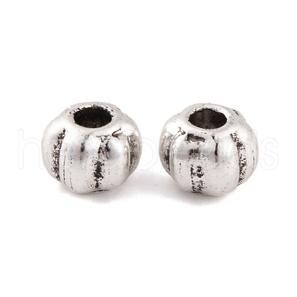 Antique Silver Alloy Tibetan Beads FIND-S230-10AS-1