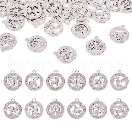 Fashewelry Zinc Alloy Jewelry Pendant Accessories FIND-FW0001-03B-1