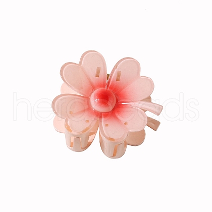 Resin Claw Hair Clips PW-WG87363-10-1