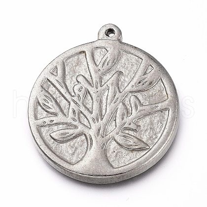 Non-Tarnish 304 Stainless Steel Pendants STAS-Z014-05P-1