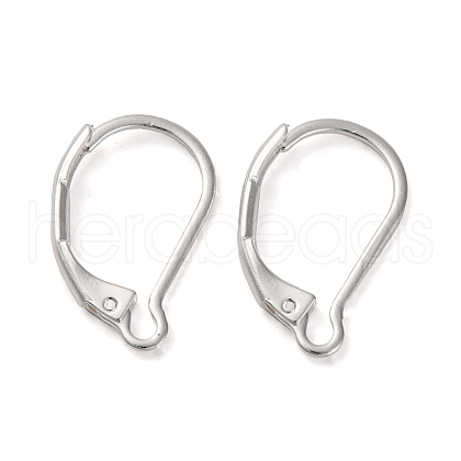 304 Stainless Steel Leverback Earring Findings STAS-K233-04S-1