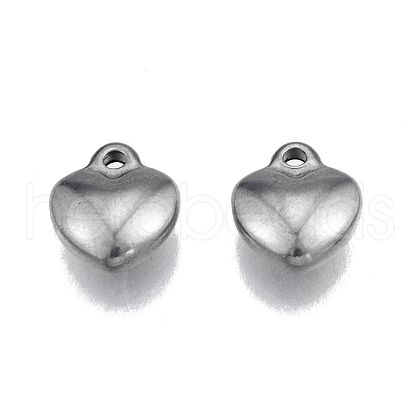 Non-Tarnish 304 Stainless Steel Charms STAS-N099-26-1