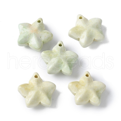 Natural Rainbow Alashan Agate Charms G-G194-02C-1