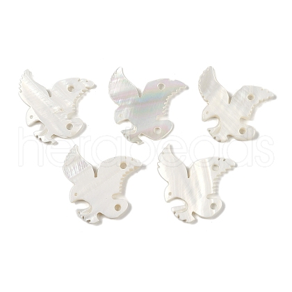 Natural Freshwater Shell Links Connector Charms SHEL-K009-08-1