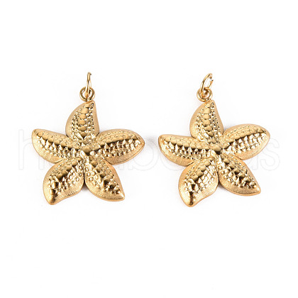 304 Stainless Steel Pendants STAS-S116-120G-1