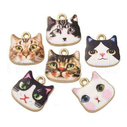 Alloy Enamel Pendants ENAM-V002-04G-1