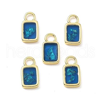 Epoxy Resin Charms KK-Z114-21G-02-1