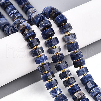 Natural Sodalite Beads Strands G-T140-26-1