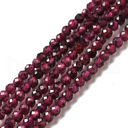 Natural Garnet Beads Strands G-I341-09A-1