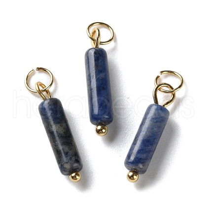 Natural Sodalite Pendants STAS-C120-01G-03-1