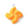 Opaque Resin Imitation Food Pendants RESI-R436-04E-1