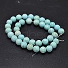 Natural Howlite Beads Strands TURQ-P027-17-6mm-2