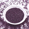 MIYUKI Round Rocailles Beads SEED-G007-RR1342-2
