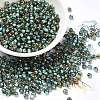 Glass Seed Beads X1-SEED-H002-B-D222-1