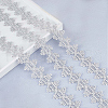Polyester Lace Ribbons OCOR-WH0082-20B-3