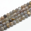 Natural Black Sunstone Beads Strands G-R446-6mm-33-1