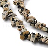 Natural Dalmatian Jasper Beads Strands X-G-G0003-B29-4
