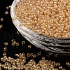 Glass Seed Beads SEED-A006-2mm-102B-1