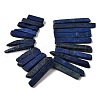 Natural Lapis Lazuli Beads Strands G-S386-D13-3