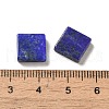 Natural Lapis Lazuli Cabochons G-K360-01A-3