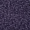 TOHO Round Seed Beads X-SEED-TR11-0019F-2