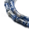 Natural Blue Spot Jasper Beads Strands G-Q178-A16-01-4