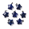 Natural Lapis Lazuli Pendants G-I319-01P-10-1