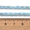 Electroplate Glass Beads Strands EGLA-D031-01-09-4
