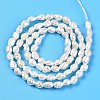 Natural Cultured Freshwater Pearl Beads Strands PEAR-N014-03H-3