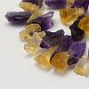 Rough Raw Natural Citrine and Amethyst Beads Strands G-K202-24-3