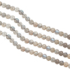 ARRICRAFT Faceted Round Natural Labradorite Bead Strands G-AR0002-72-1