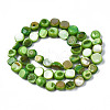 Natural Trochid Shell/Trochus Shell Beads Strands SHEL-S258-083-B05-2